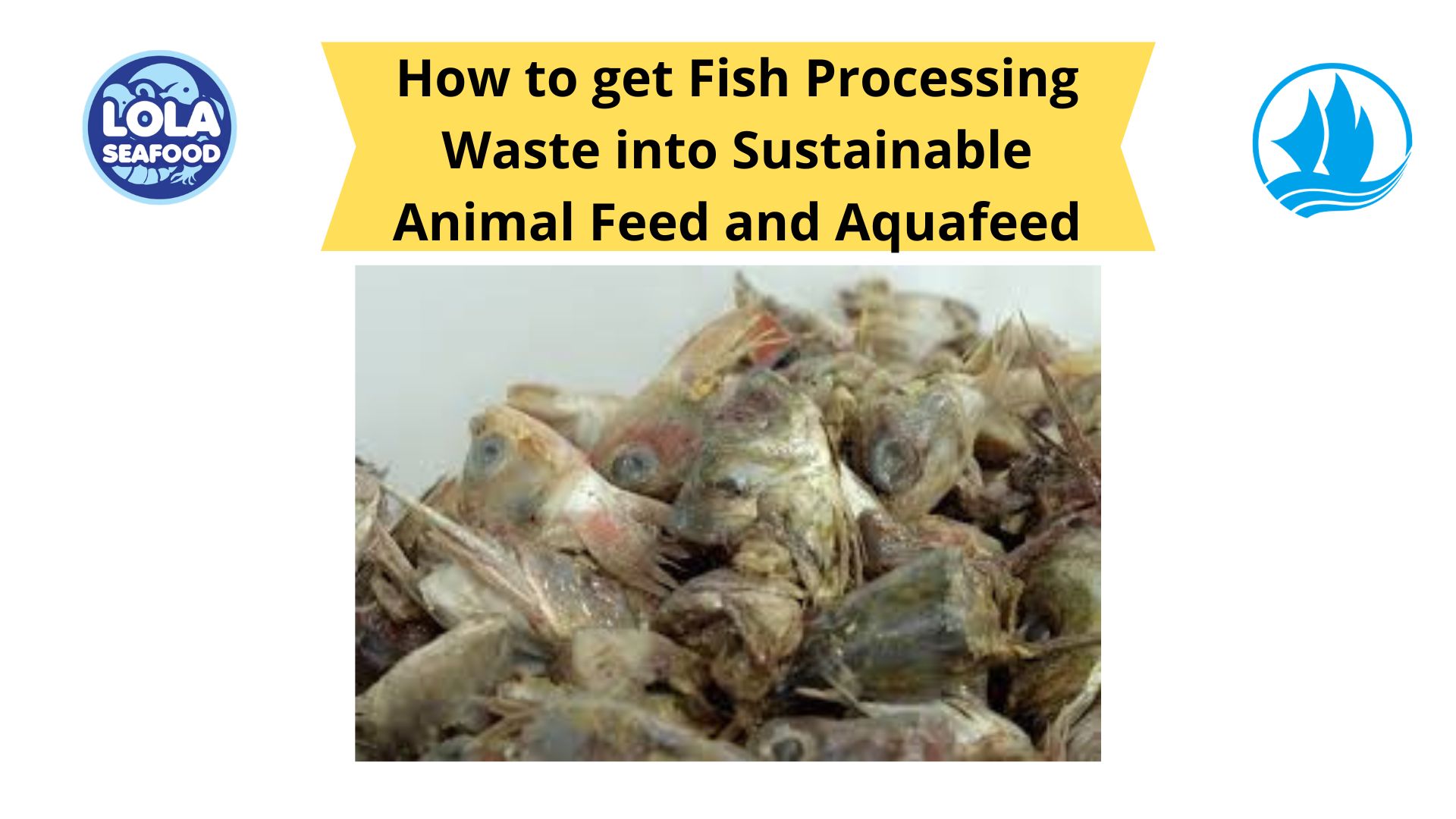 How to get Fish Processing Waste into Sustainable Animal Feed and Aquafeed